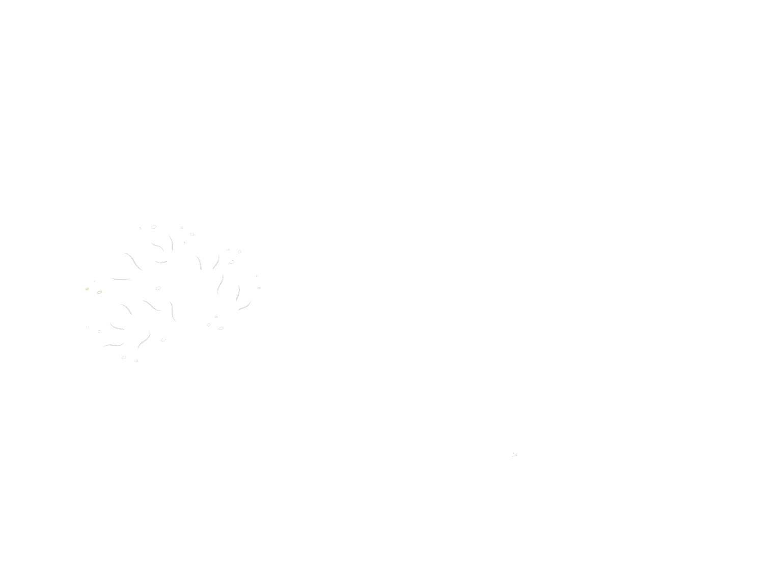 SP Wellness